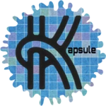 Logo of KapSule android Application 